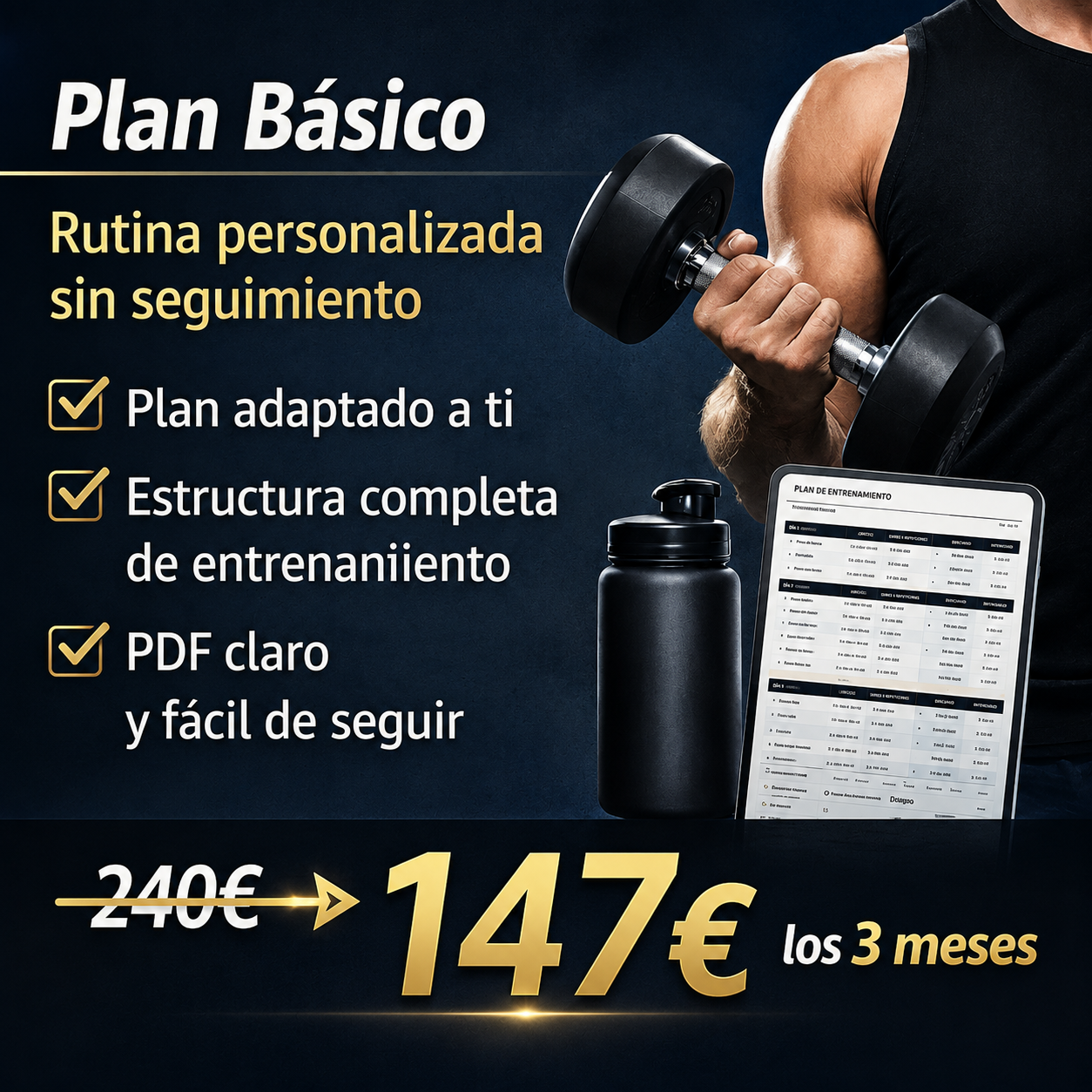 PLAN BÁSICO